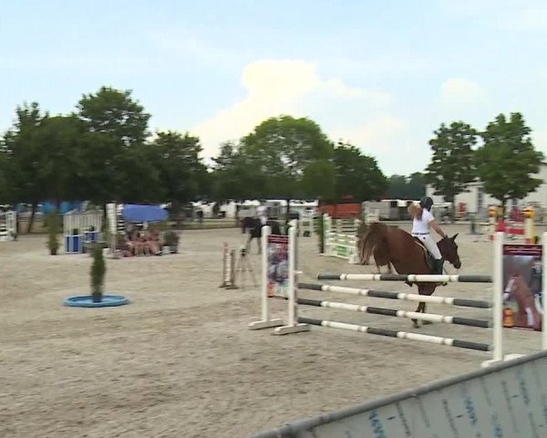 Reitturnier Rot am See- Musdorf 2019