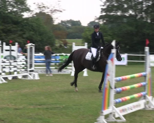 Reitturnier Felmerholz 2019