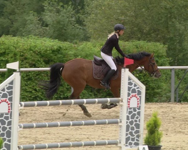 Reitturnier Püttlingen 2019