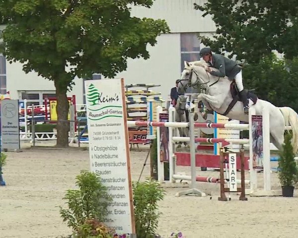 Reitturnier Rot am See- Musdorf 2019