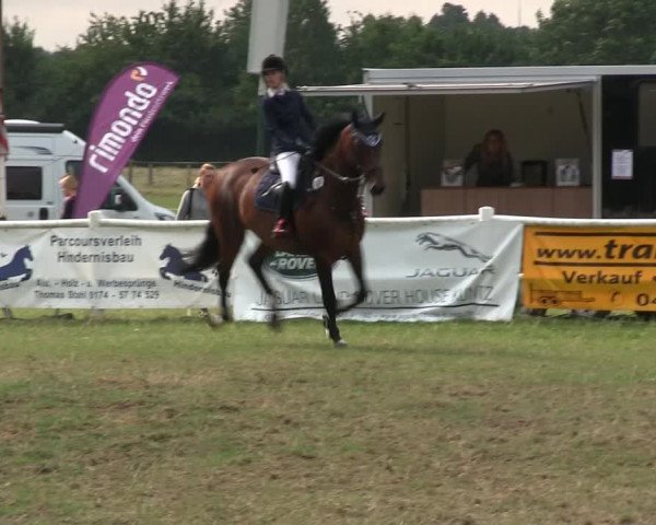Reitturnier Felmerholz 2019
