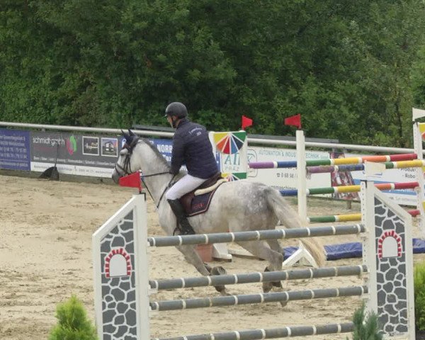 Reitturnier Püttlingen 2019