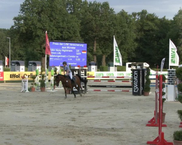Reitturnier Münster-Handorf 2019