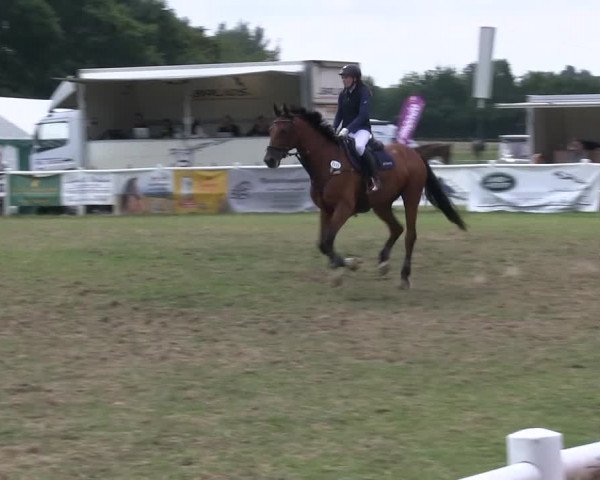 Reitturnier Felmerholz 2019