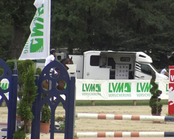 Reitturnier Münster-Handorf 2019