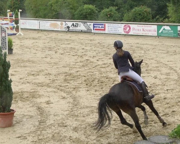 Reitturnier Püttlingen 2019