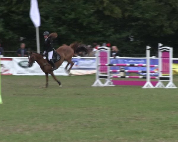 Reitturnier Felmerholz 2019