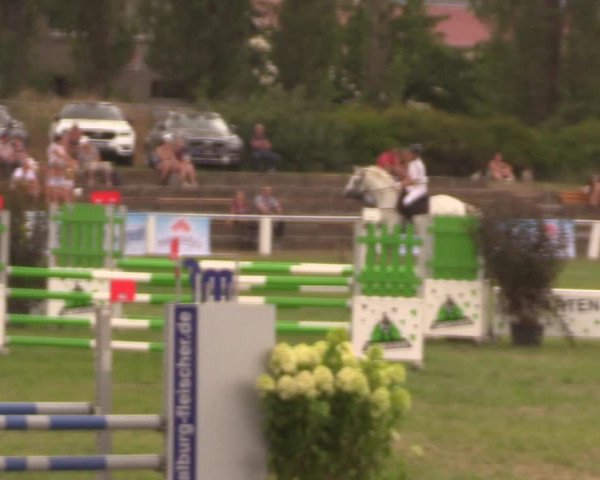 Reitturnier Baschütz bei Bautzen 2019