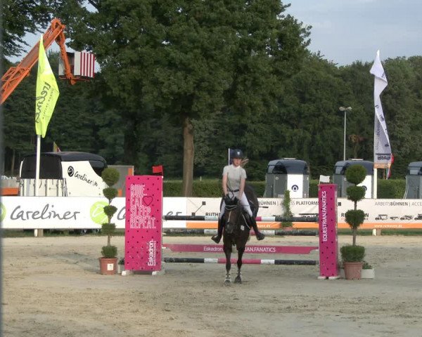 Reitturnier Münster-Handorf 2019