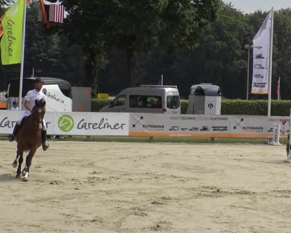 Reitturnier Münster-Handorf 2019