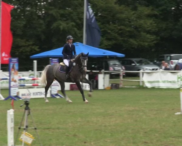 Reitturnier Felmerholz 2019