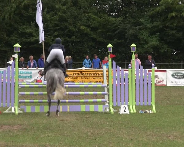 Reitturnier Felmerholz 2019