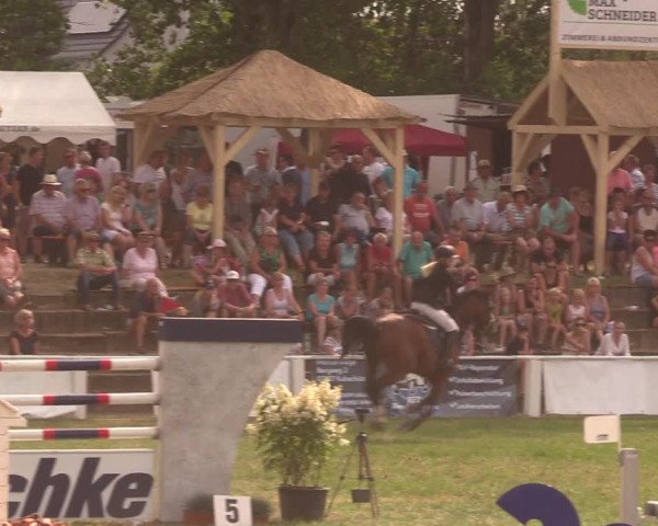 Reitturnier Baschütz bei Bautzen 2019