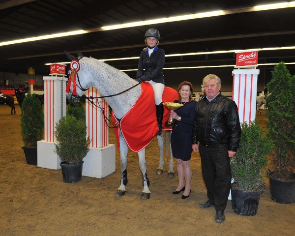 broodmare Calata (Holsteiner, 2002, from Calato)