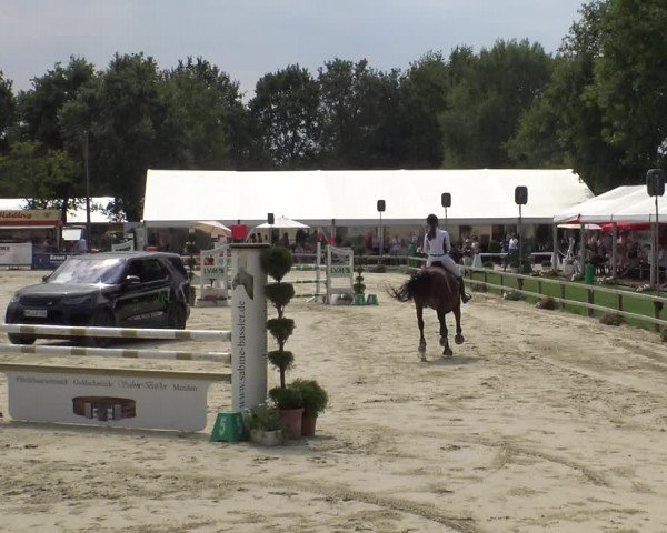 Reitturnier Münster-Handorf 2019