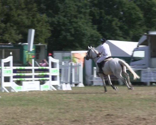 Reitturnier Felmerholz 2019