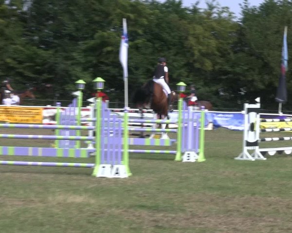 Reitturnier Felmerholz 2019