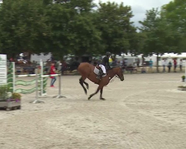 Reitturnier Rot am See- Musdorf 2019