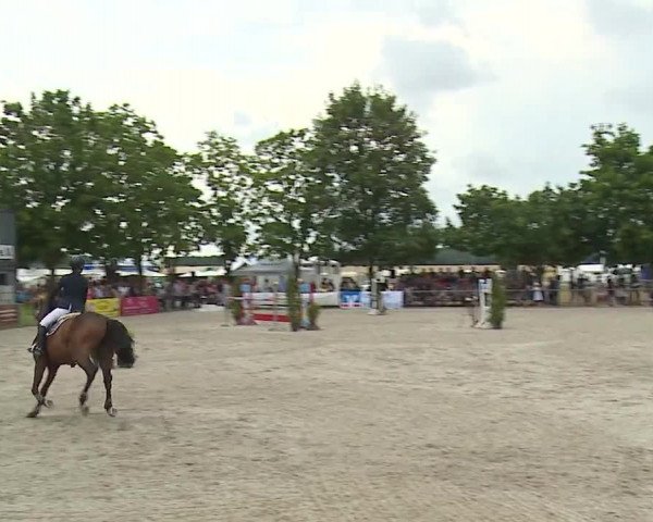Reitturnier Rot am See- Musdorf 2019
