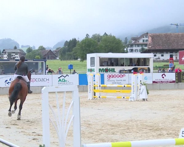 Reitturnier Schwyz 2019