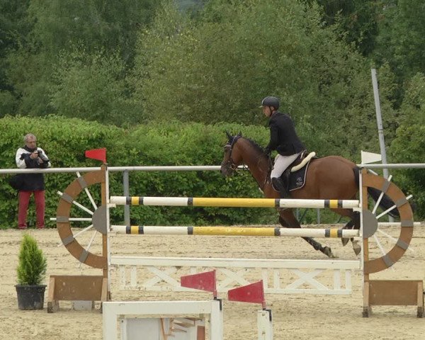 Reitturnier Püttlingen 2019