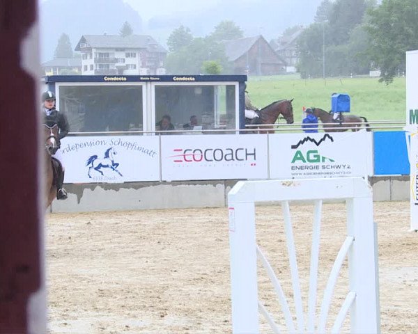 Reitturnier Schwyz 2019