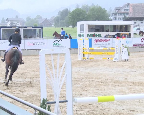Reitturnier Schwyz 2019
