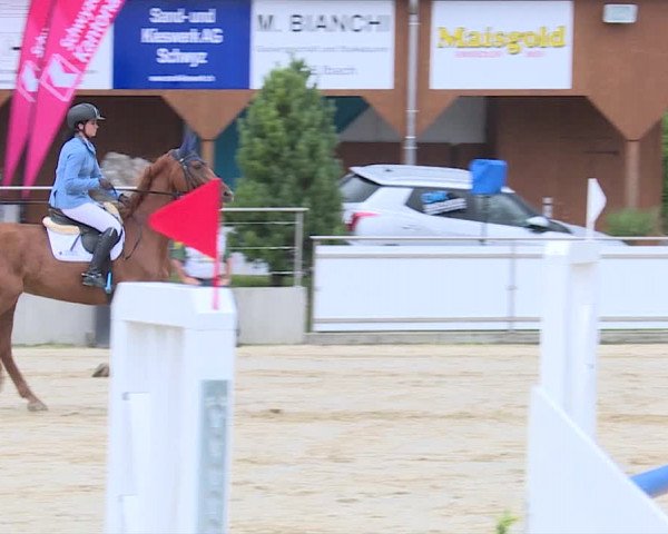 Reitturnier Schwyz 2019