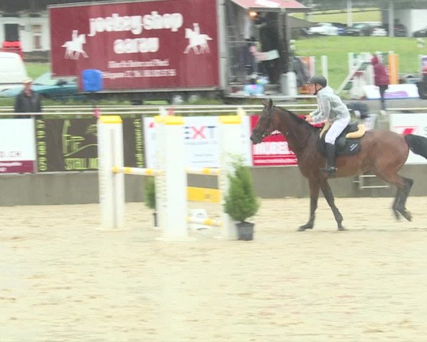 Reitturnier Schwyz 2019