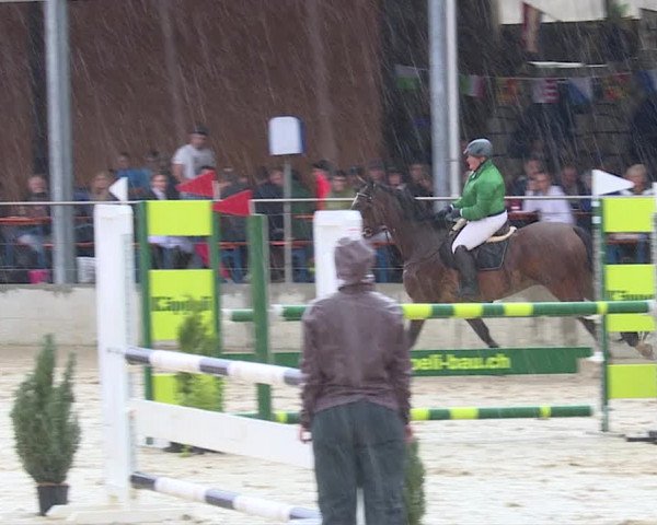 Reitturnier Schwyz 2019
