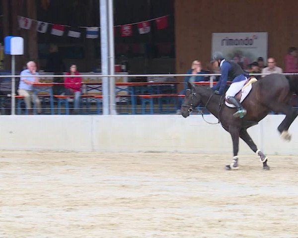 Reitturnier Schwyz 2019
