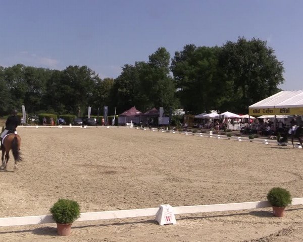 Westfalen-Woche 2019