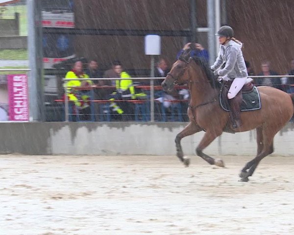 Reitturnier Schwyz 2019