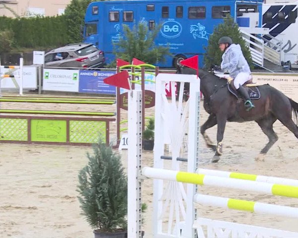 Reitturnier Schwyz 2019