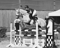 jumper Felice 57 (Rhinelander, 2009, from Fosbury)