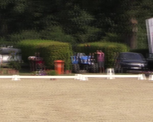 Reitturnier Münster-Handorf 2019