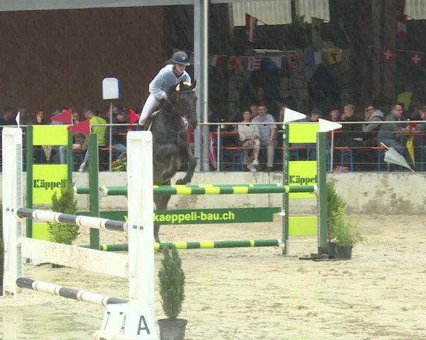 Reitturnier Schwyz 2019