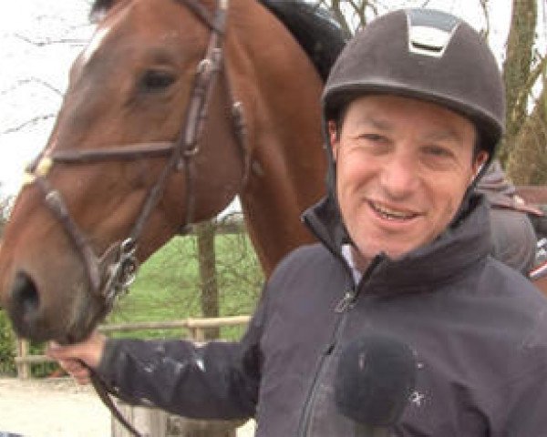 stallion Topaze Latour (Selle Français, 2007, from Diamant de Semilly)
