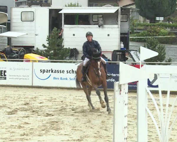 Reitturnier Schwyz 2019