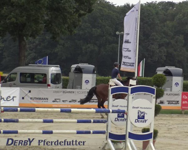 Reitturnier Münster-Handorf 2019