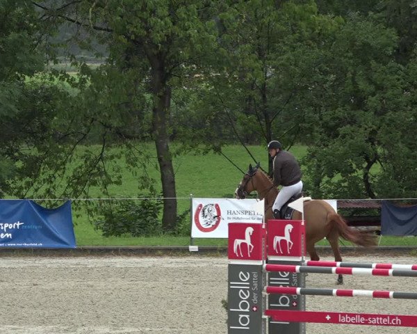Summer Masters Maienfeld 2019