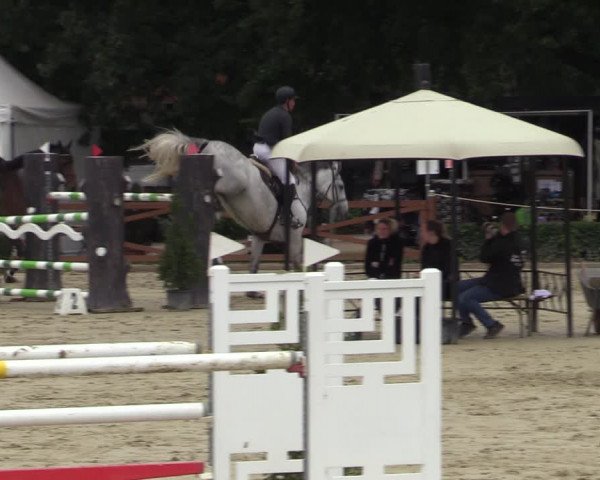 Equus Colonius - Reitanlage Brüse Köln 2021