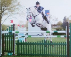 jumper Nick 179 (German Warmblood, 2007, from Newcomer)