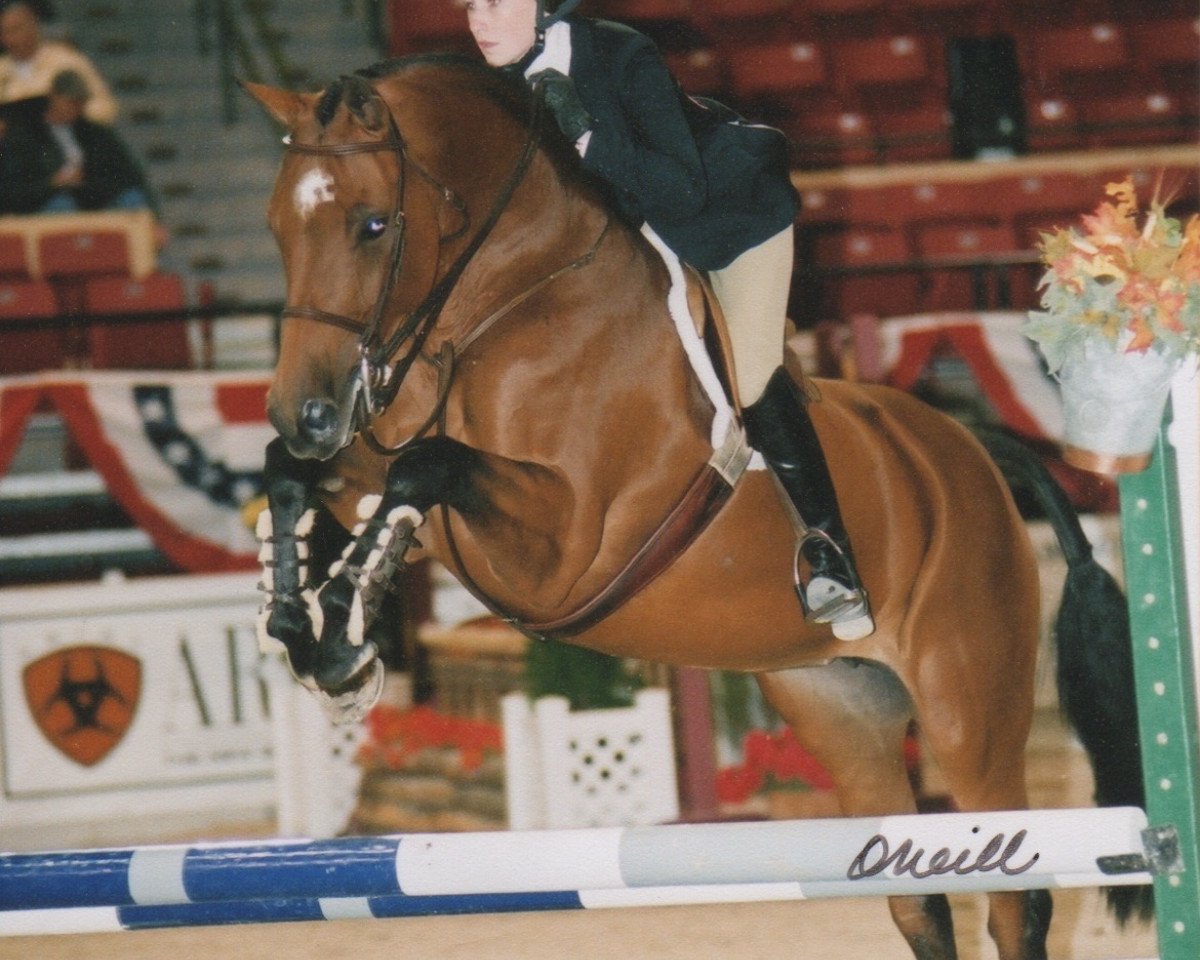 horse Caribik 6 (Holsteiner, 1995, from Corofino I)