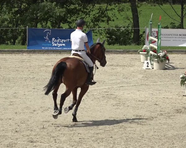 Summer Masters Maienfeld 2019