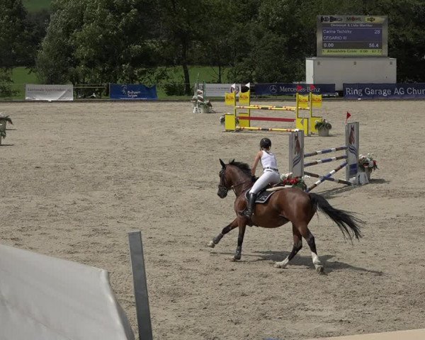 Summer Masters Maienfeld 2019
