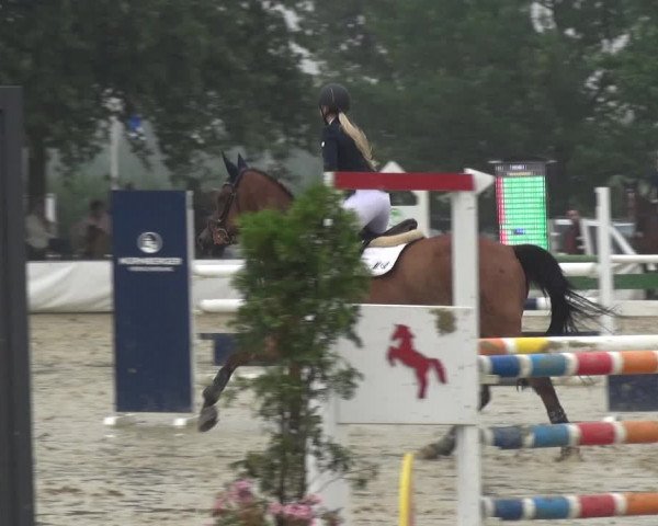 Reitturnier Neuss-Allerheiligen 2019