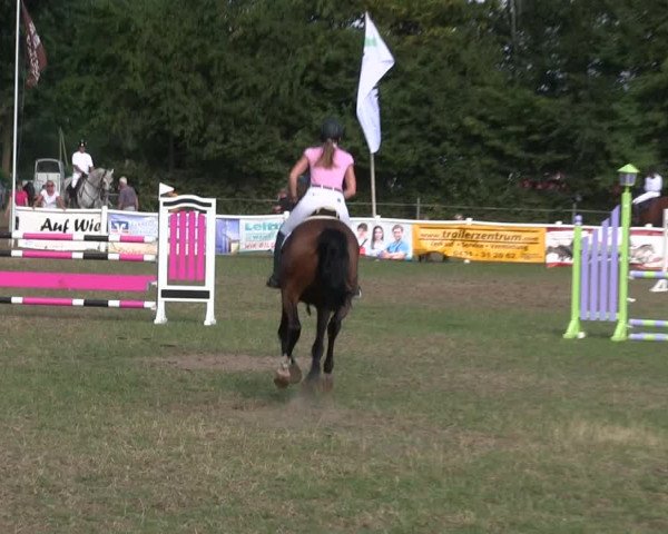 Reitturnier Felmerholz 2019