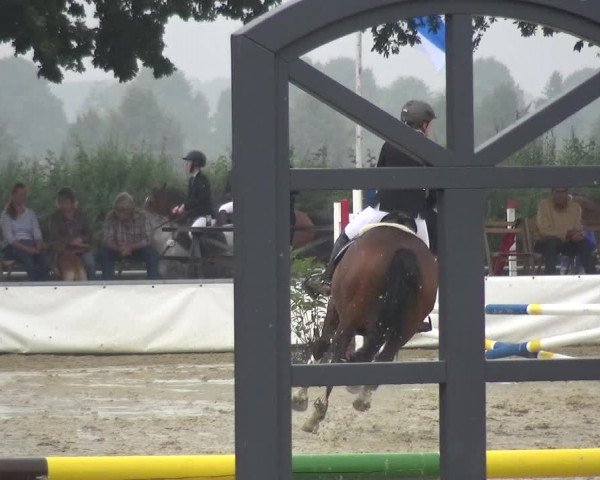 Reitturnier Neuss-Allerheiligen 2019