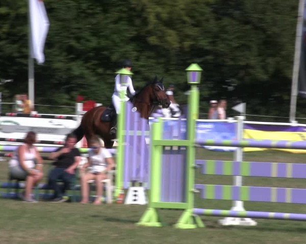 Reitturnier Felmerholz 2019